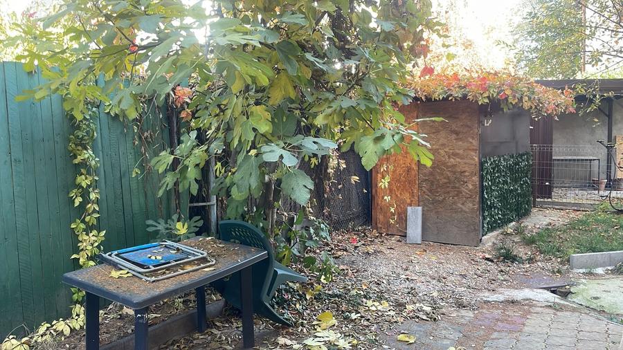 Inchiriere casa P+1 pet friendly curte comuna Cotroceni Medicina - 14