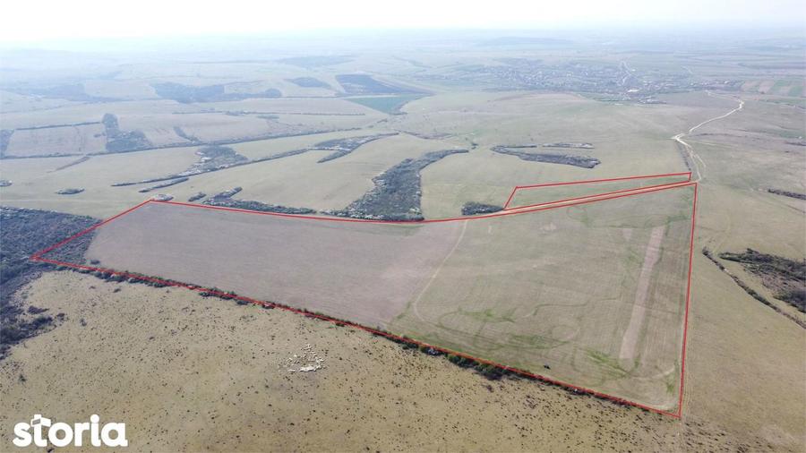 Teren 26.82 ha Ardud | Oportunitate pentru dezvoltare - 8