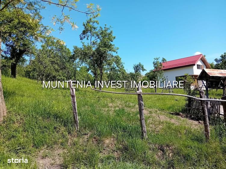 Teren 5596 mp. Com.Bradulet ,sat Galesu. - 1