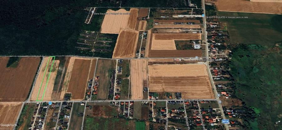 Dragomiresti Deal teren 6700 mp, padurea Ileana, utilitati, asfalt - 6