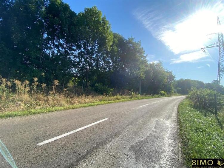 Teren 2000mp cu hala - 2