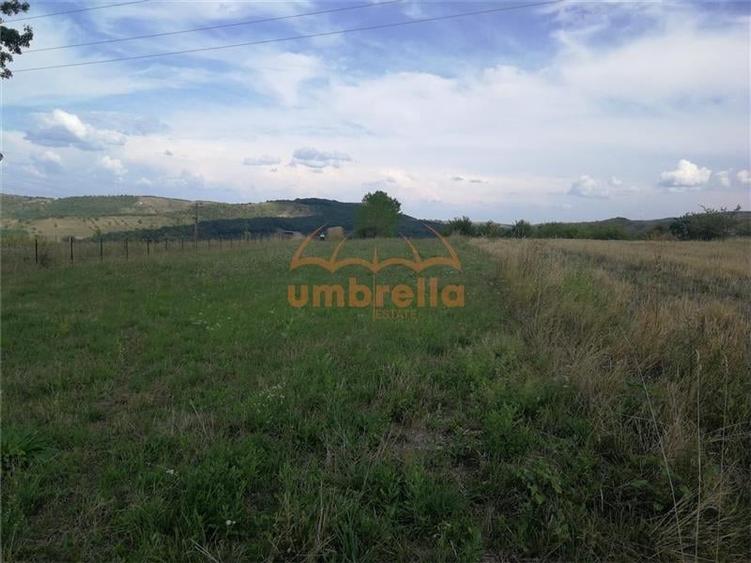 De vanzare teren 1.800/? intrav. in Deus- Chinteni ! - 9