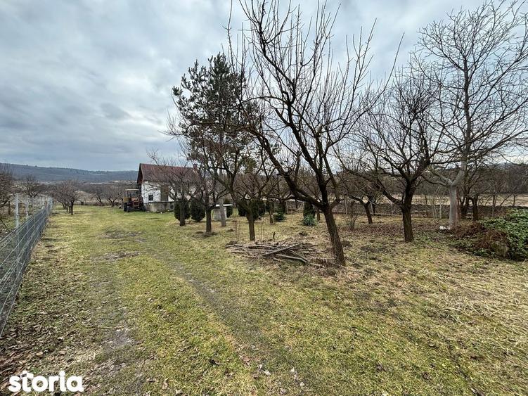 Teren intravilan construibil Sopor/Borhanci - 3