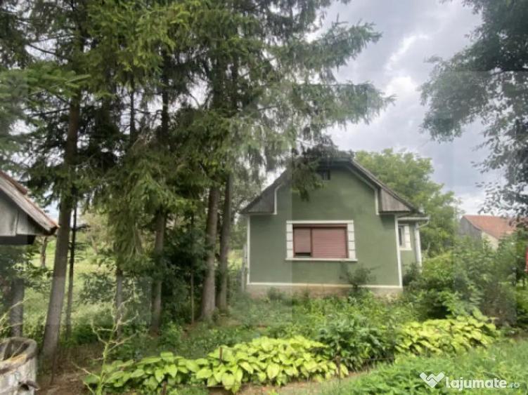 Casa tradi?ionala cu teren generos Belin - 11