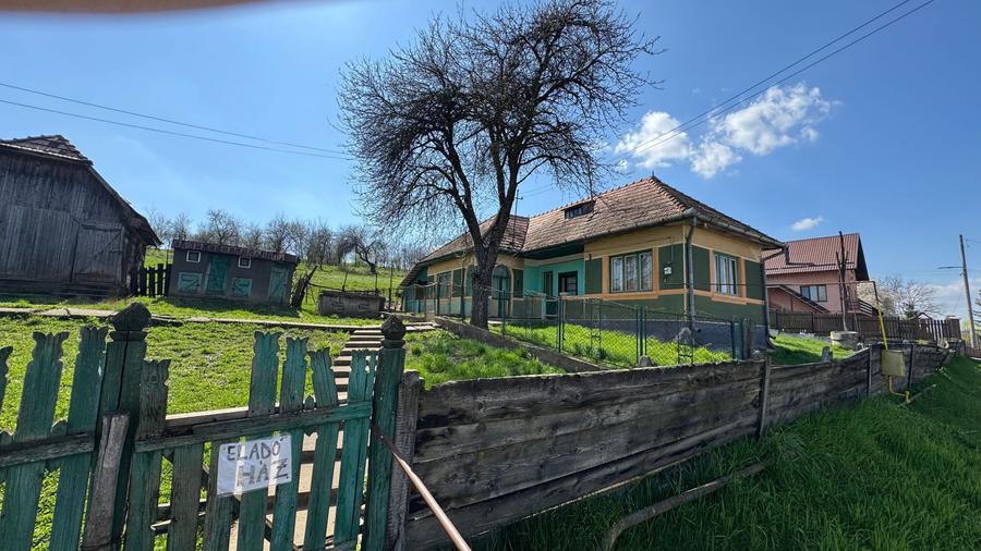 Casa de vanzare cu teren 53 ari - 6