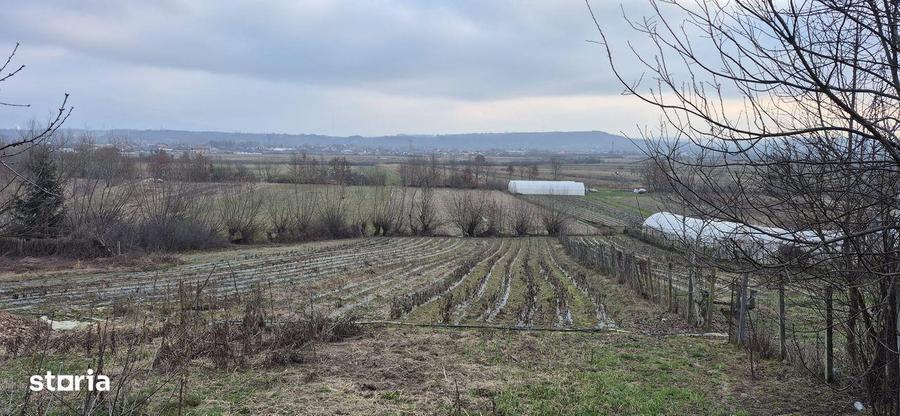 Teren de vanzare, 1290 mp, Coltau Maramures - 8