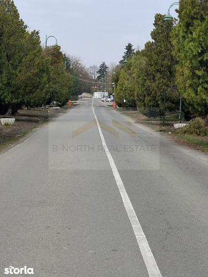 Spre Vanzare- Vila-1 Decembrie, Ilfov, cartier rezidential. - 9