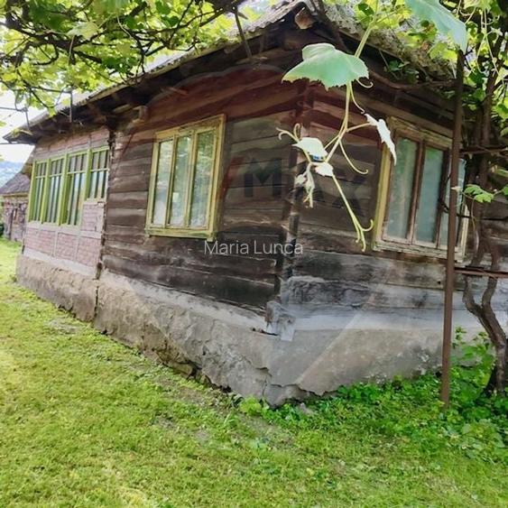 Casă individuală cu 3 camere în Bârsana Casă individuală cu 3 camere în Bârsana