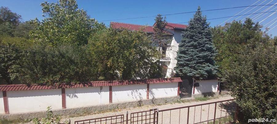 Casa Padurea Baneasa, luminoasa, rezistenta, beci, put propriu, parcare 3 masini - 4