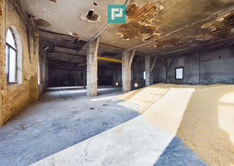 Teren ?i hale pe Calea Aradului din Periam - 4