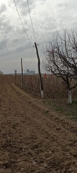 Vand teren intravilan + extravilan 3350 mp - 5