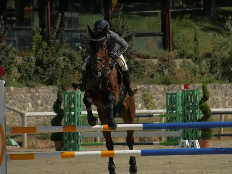 Domeniul Herneacova - 16