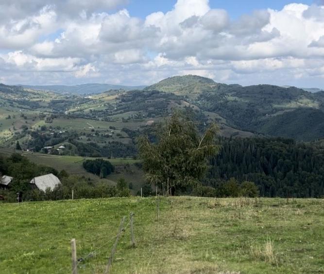 Parcele de 1.000 mp cu priveliste Vladeasa Rogojel, jud. Cluj - 1