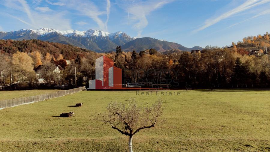 Teren Moieciu 8206 mp - Oportunitate de investitie - 4