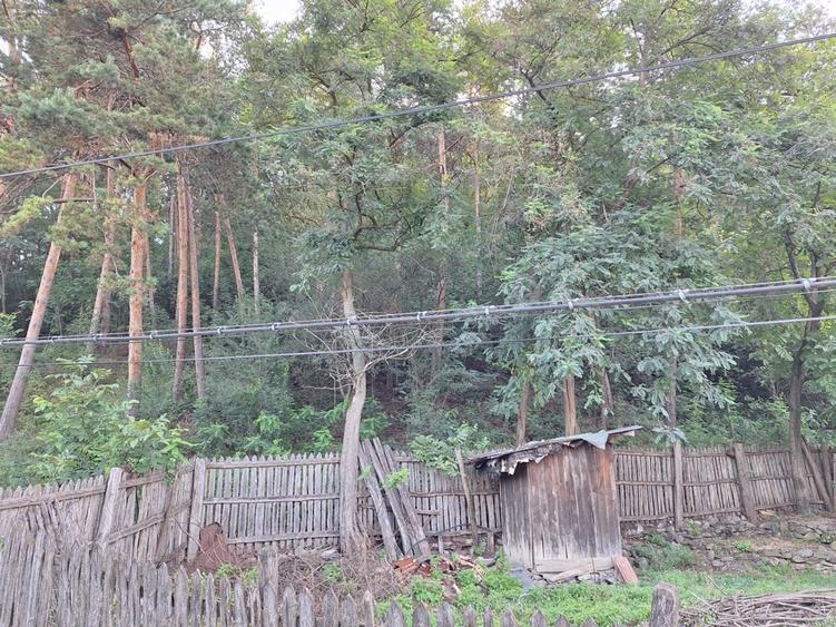 Vinzare proprietate in Catina jud.Buzau - 4