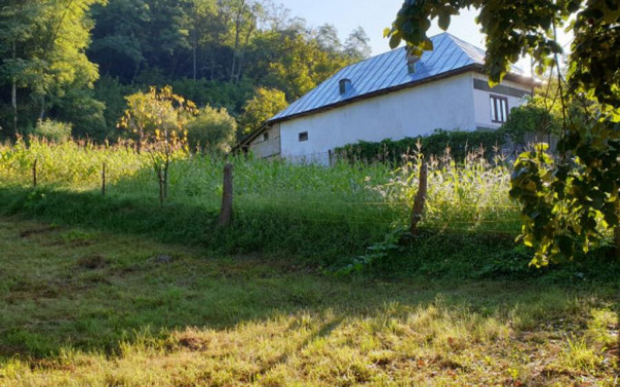 Teren 7000mp Pucioasa - Zona Pitoreasca - 6