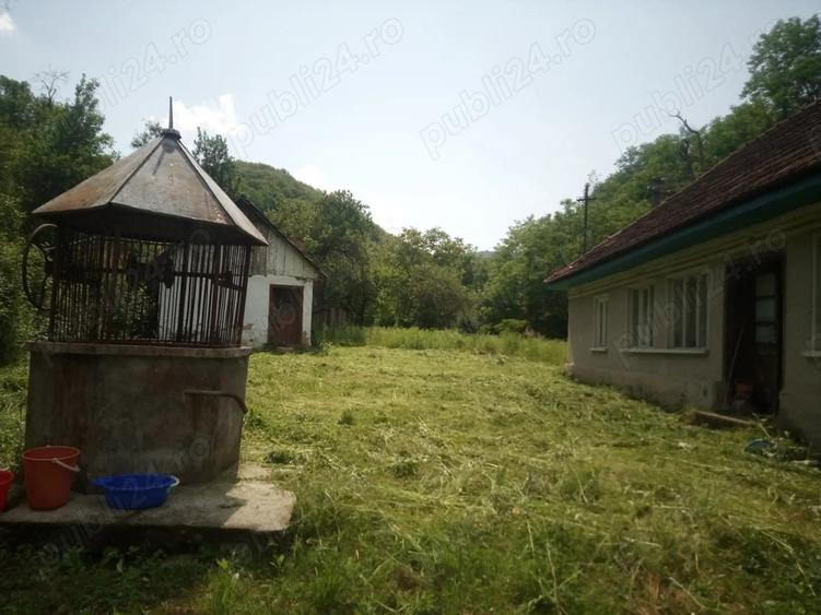 Vand Casa Halmagiu Sat Tisa - 4