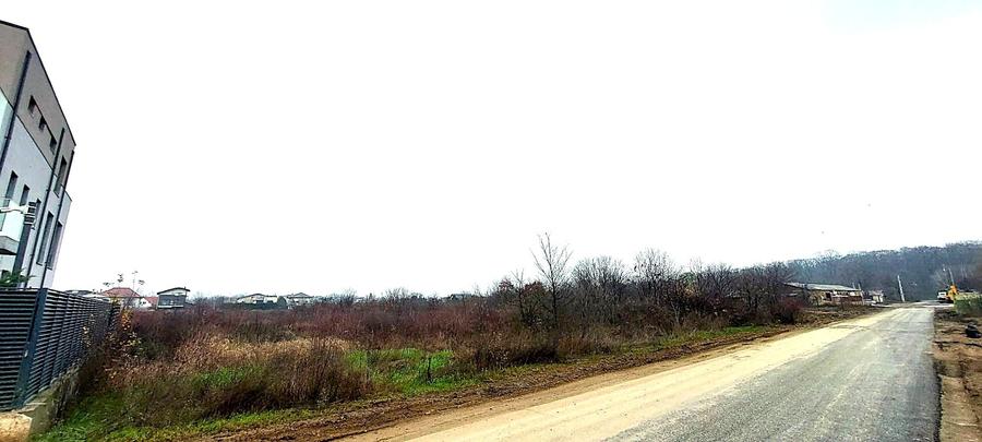 Teren de vânzare – 1000 mp în Mogoșoaia, zonă ideală pentru locuință - 12