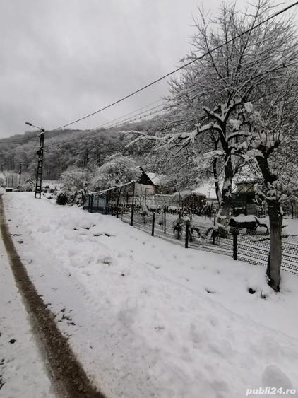 Vand casa in Anina propietar - 4