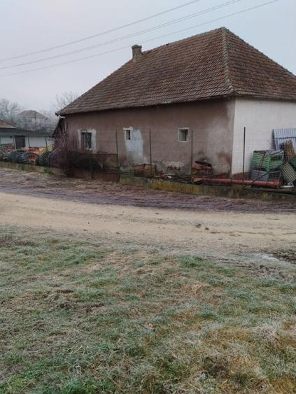 Casa Sumugiu jud Bihor - 2