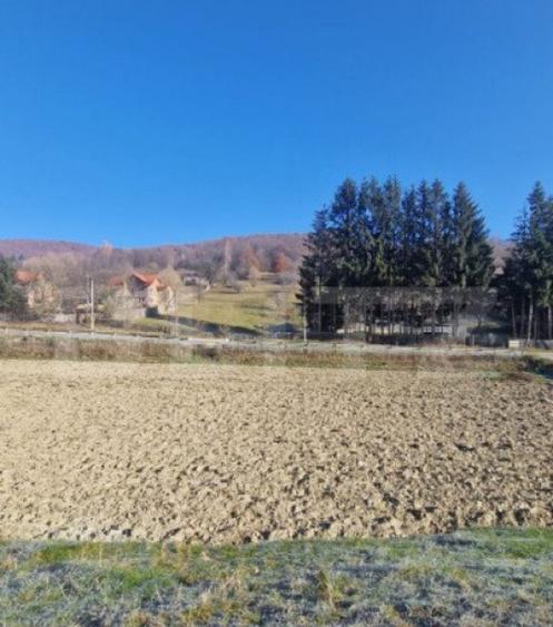 Teren extravilan - Sita Buzaului -6800 mp posibilitate trece - 3