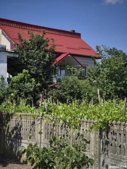 Casa Lalosu Berbesti - 1