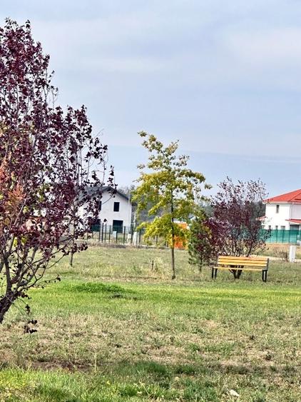 Oportunitate Eden Forest - 3