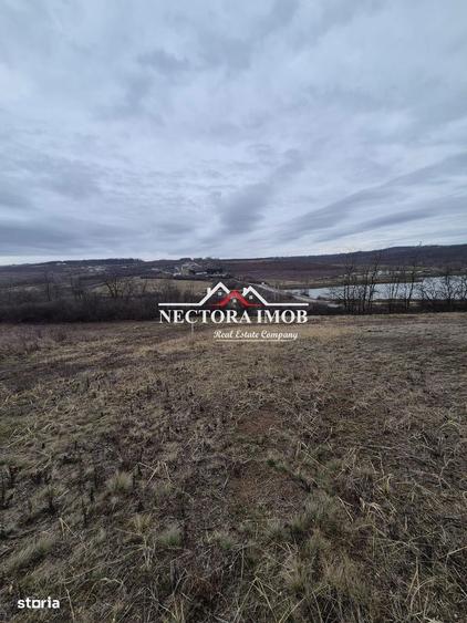 NECTORA IMOB-Teren Intravilan Zona Paleu, 589 mp, Vedere LAC,Utilitati - 1