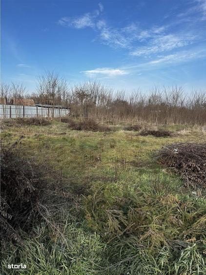 Parcele Intravilan 5km de Salonta Utilitati si asfalt - 2