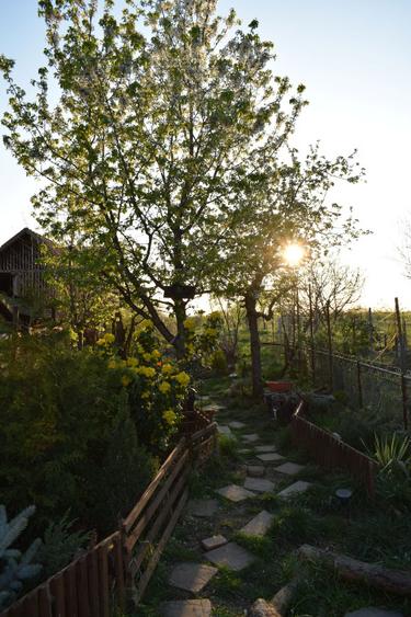 Teren intravilan 1000mp + casuta mica structura metalica + casa demolabila - 1