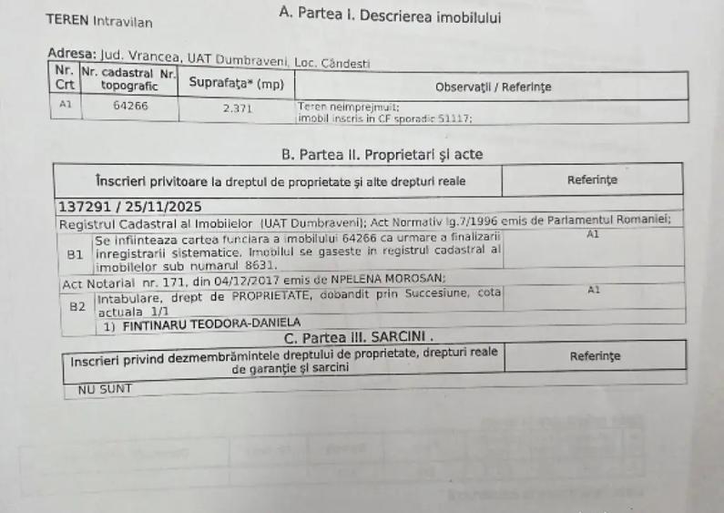 Teren intravilan cu vie la sosea - 1