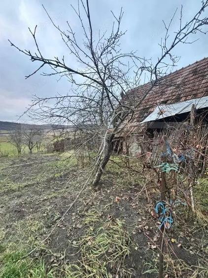 Casa tradi?ionala batraneasca in Galatii Bistri?ei, cu teren generos ?i anexe - 5