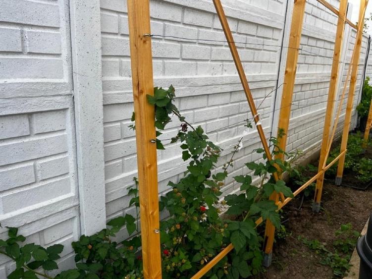 Teren anexa + livada, toate utilitățile - 3