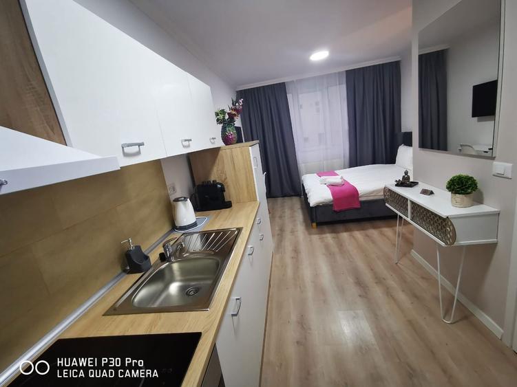 Garsoniera in zona Lipovei cocheta 250 euro - 1