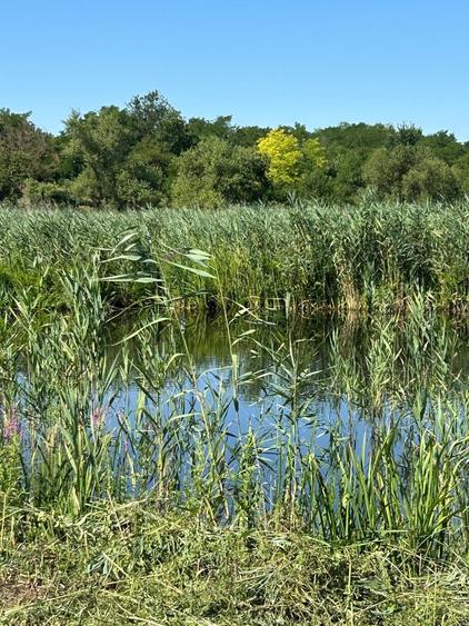 Teren cu deschidere la lac strada Orhideelor- conectare imediata la curent - 5