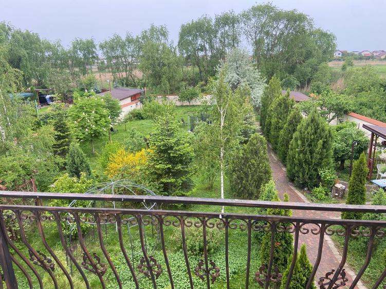 Berceni-Vila de arhitect, P+1+M, gradina 1200mp, - 3