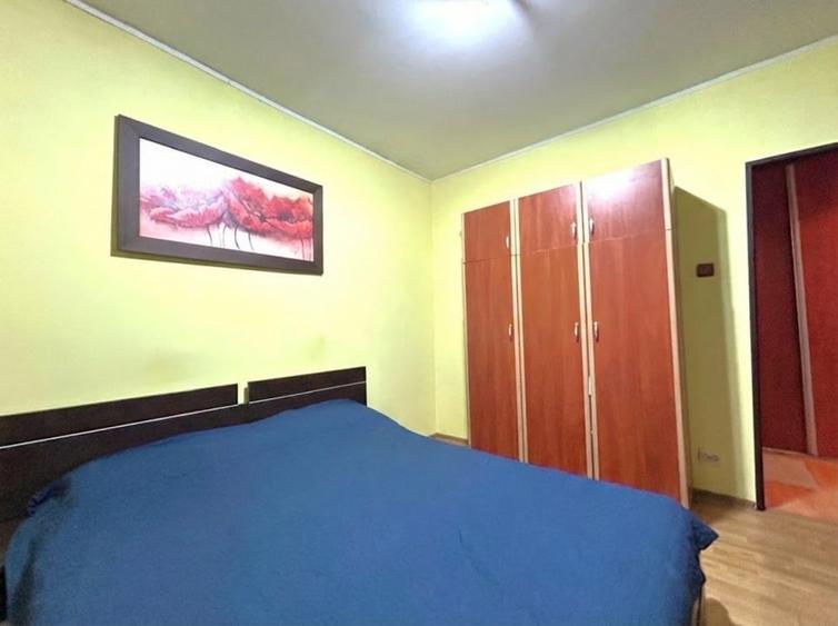 VANZARE 3 CAM, SOS PANTELIMON 311 - 10