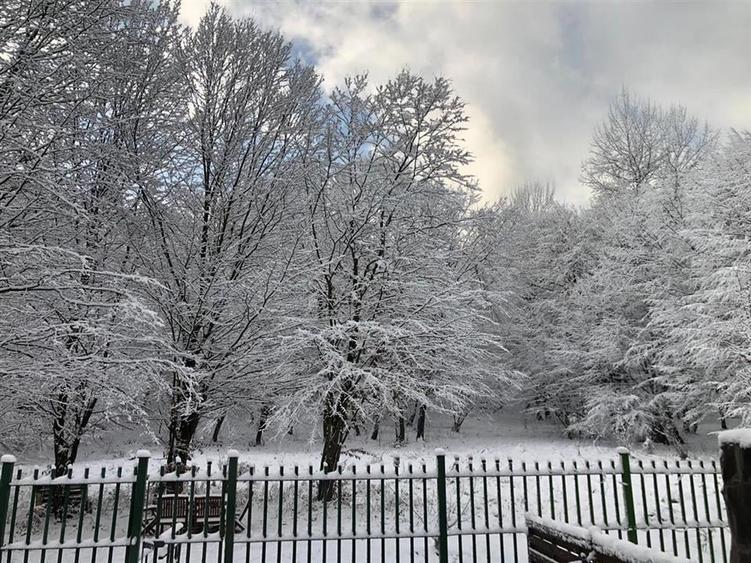 Casa tip duplex in complexul rezidential Green Park Villas - 10