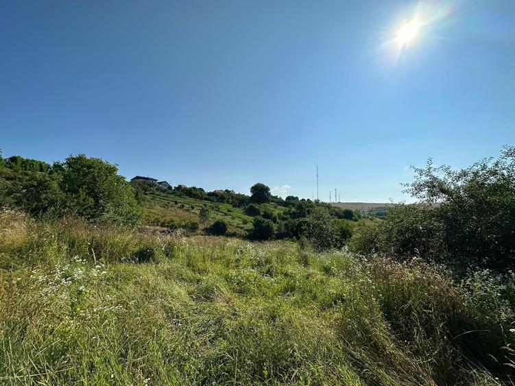 Teren de vanzare in Feleac, Intravilan - 8