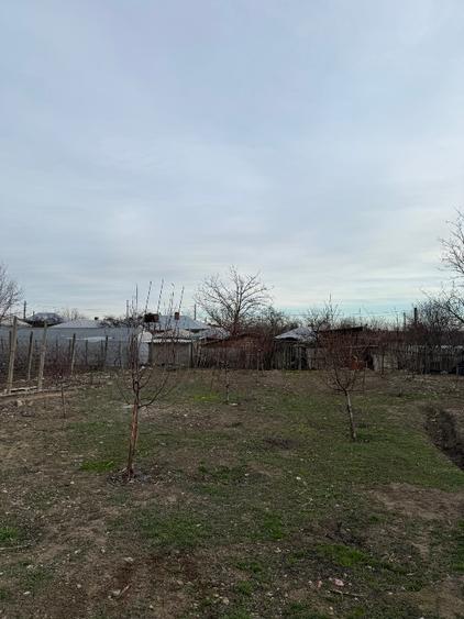 Casa de vanzare in comuna balta alba ,buzau - 10