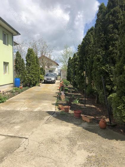 Vand casa Padureni Jebel - 5