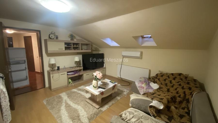 Apartament 1 camera in vila, 33 mp, curte privata, zona Parcul Armatura