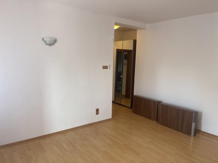 Vila individuala 7 camere de vanzare/inchiriere Iancu Nicolae - 12