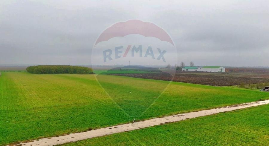 Ferma agro-industriala - 43 ha Adunatii Copaceni - 5