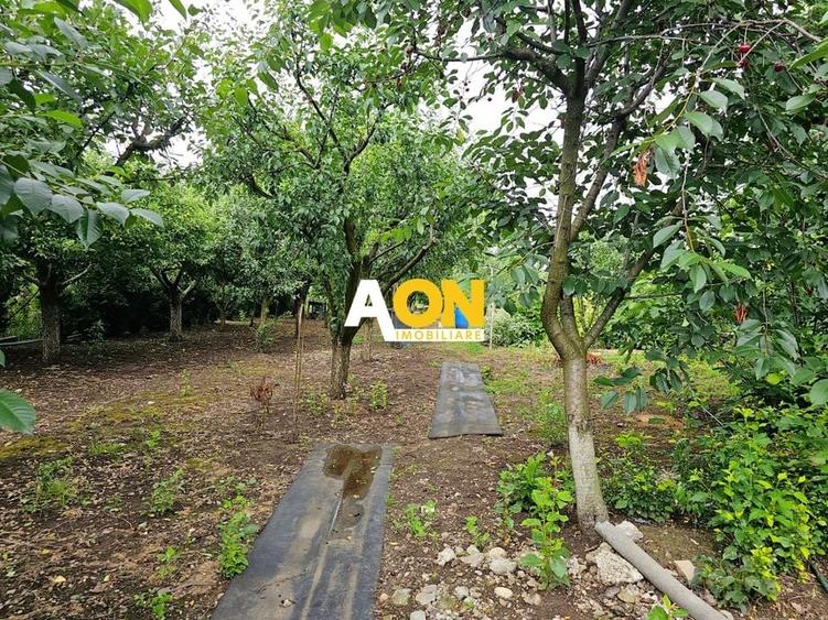 Casa 4 camere, S+P+1, semifinisata, 1424 mp teren, Oarda de Jos - 3