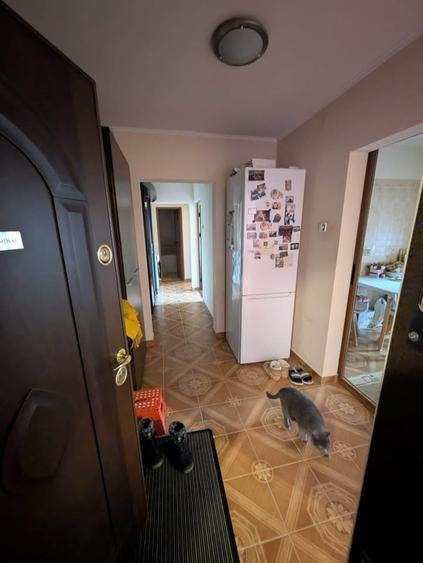 Apartament cu 3 camere decomandat, zona Alexandru cel Bun - 10