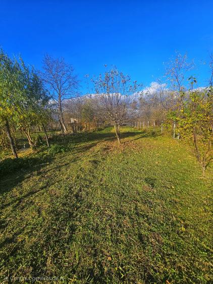 Exclusivitate! Casă cu teren generos în Sat Olteni, Com.Teișani - 11