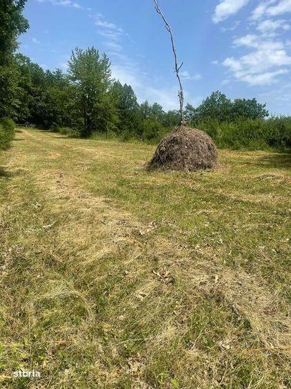 Teren extravilan de vanzare -faneata - 1