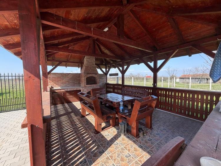 Casa Spatioasa cu Teren Generos Sudrias, Com. Traian Vuia - 5