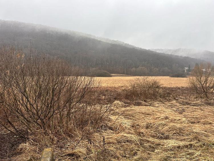 Vand TEREN INTRAVILAN 10.000 m2 ,front 50 ML la DN E-60 CAPUSUL MARE - 4